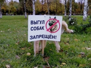 Закон о выгуле собак в России