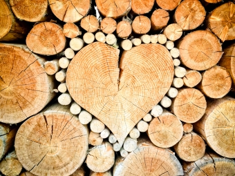 Кто имеет право бесплатно дрова от государства? Как получить?