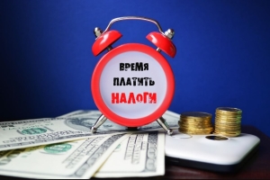 Какие объекты недвижимости облагаются налогом на роскошь в России?